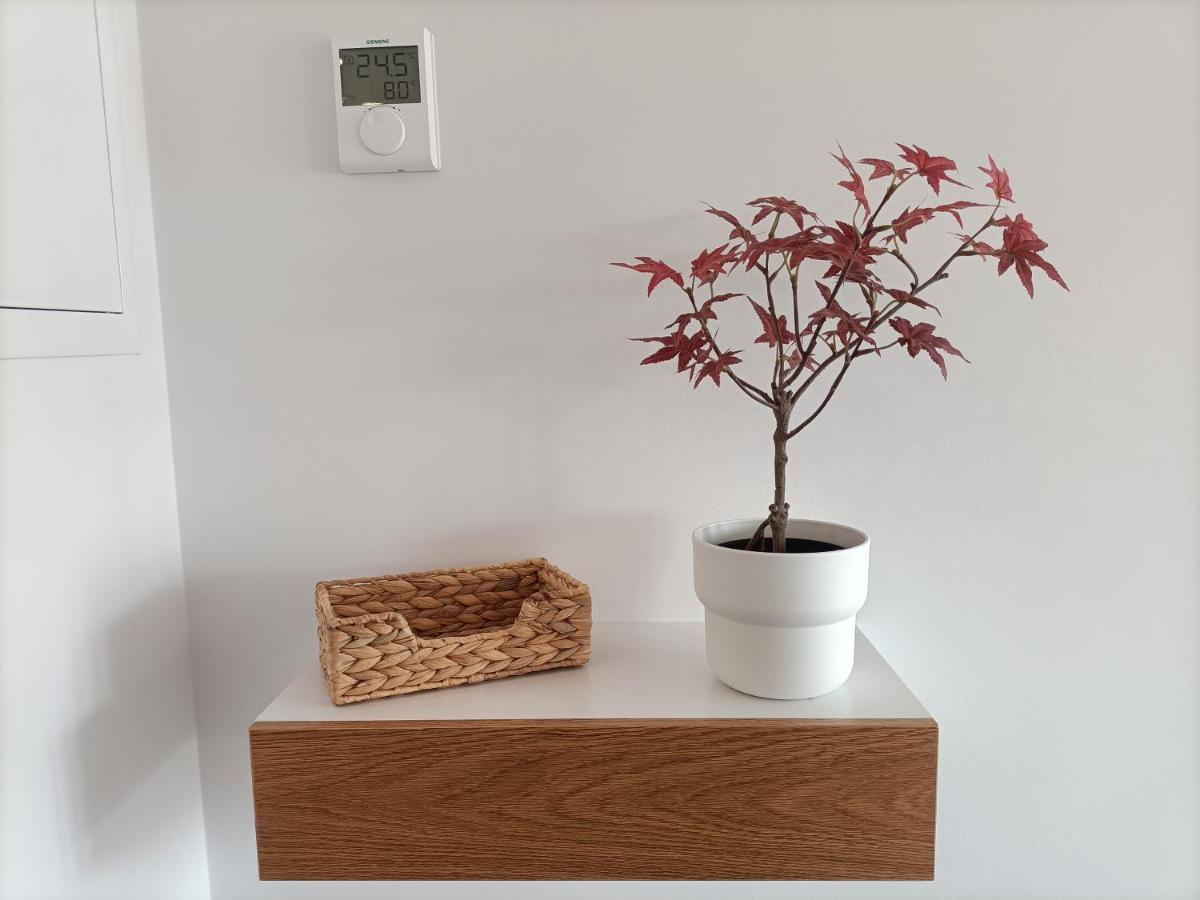 Precioso Apartamento Nuevo Centrico En Santander Exteriér fotografie